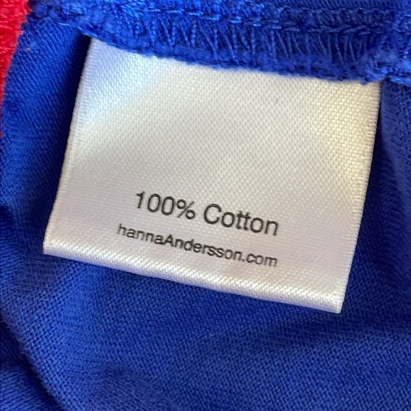 Hanna Andersson Blue and Pink Tiered Colorblock Dress - Picture 4 of 5